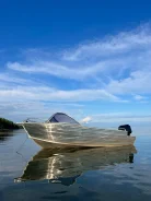 Quintrex. 2013 ���, ����� 4,75��., ��������� ���������, 60��.�., ������ ����
