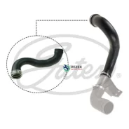 �������� ���������������� Gates 090829 090829 ����