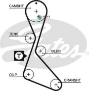 ������ ��� Renault (Z 125) 1,7,1,8 91-98 Gates 5130XS 5130XS ����