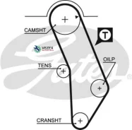 ������ ����������������� Gates Gates 5183XS 5183XS ����
