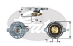 ������ ��������� Gates RC113 RC113 ����