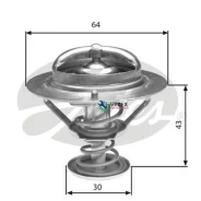 ��������� Honda Accord VIII, CR-V II, Odyssey III (RB1, RB2), Civic VIII (FN, FK) Gates TH27078G1 TH27078G1 ����