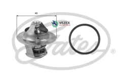 ��������� FORD Focus 1/2 / C-MAX 99 Gates TH39374G1 TH39374G1 ����
