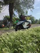 Honda Dio AF28. 70����. ��., ��������, ������ �� �� ����