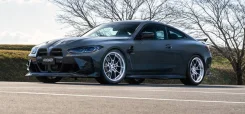 RAYS Volk Racing G025LC. 10.5x20", 5x112, ET15, �� 66,6���. ��� ����� �� ������������ ����