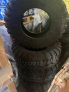 Interco. ����� at, 2017 ���, �/�, ����� 5 % ����