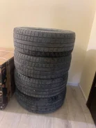 Presa PI02. ������, ��� �����, 2020 ���, �/�, ����� �� 5 % ����