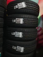 Lassa Competus H/P. ������, ����� ����
