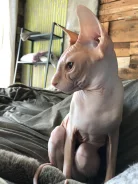 ������. ����