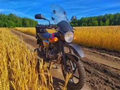 Bajaj Boxer BM 150 X. 150����. ��., ��������, ���������, ������ �� �� ����