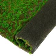  , ,  1x1 , , , Greengo 