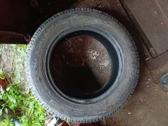 ��� �-256 Purga. ������, ����������, 2018 ���, �/�, ����� 10 % ����