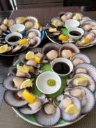  .  .    2. Octopus cafe  