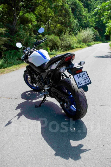 Suzuki SV 650. 650����. ��., ��������, ���������, ������ �� �� ����