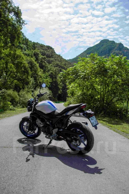 Suzuki SV 650. 650����. ��., ��������, ���������, ������ �� �� ����