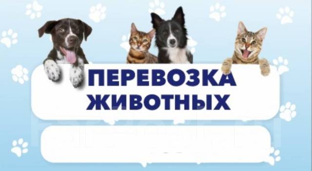 Перевозка Животных Zootaxi в Артеме