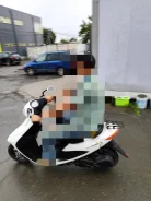 Suzuki Address V50. 50����. ��., ��������, ��� ���, ������ �� �� ����