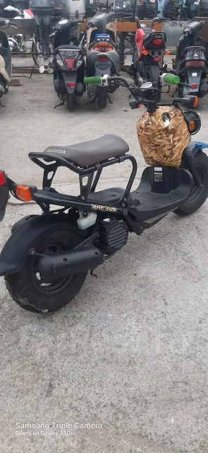 Honda Zoomer. 49����. ��., ��������, ��� ���, ��� ������� ����
