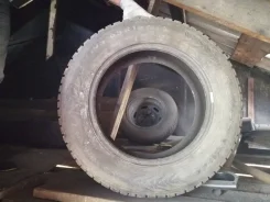 Nordman 1. ������, ����������, 2018 ���, �/�, ����� 30 % ����