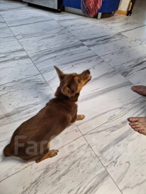 ������. ����