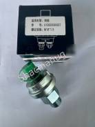     Shaanxi/Shacman 612600090667 612600090667 
