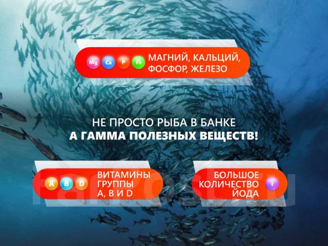 Сайра натуральная Тихоокеанская 250 гр. ОПТ, в наличии. Цена: 80₽ во ...