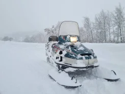 Yamaha Viking 540 III. ����������, ��, �� ����