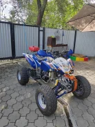 Irbis ATV250S. ��������, ��, �� ����