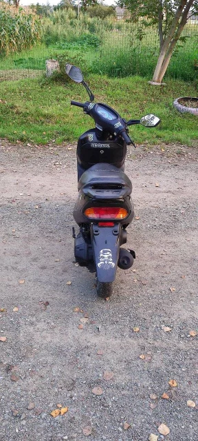 Honda Tact AF-31. 49����. ��., ��������, ������ �� �� ����