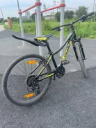 Giant ����