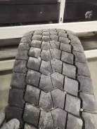 TyRex. �����������, 2021 ���, ����� ����