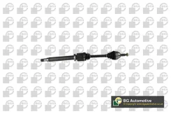 ��������� ��� ds2300r BG Automotive DS2300R ����