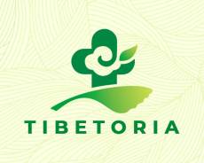 ���������� ���������� �����. ��� ���������. ����� �������� 41� ����