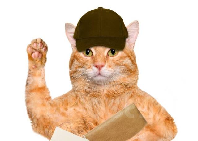 Курьер пеший или авто (СВОБОДНЫЙ ГРАФИК, ЕЖЕДНЕВНАЯ ОПЛАТА), работа в ...