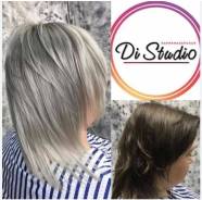 -. - Di_Studio.   74 