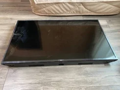 LG. OLED ����