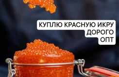����� ������� ���� ����� ������ ����