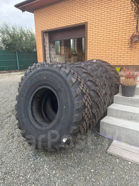 Warrior Fluent R21. �����������, ����� ����