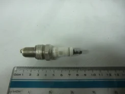 ����� ��������� ��� 8��. �� ������ [21110370701000] 21110370701000 ����