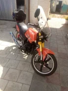Wels Gold Classic 200. 200����. ��., ��������, ���������, ������ �� �� ����