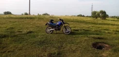 Irbis TTR 250. 250����. ��., ��������, ���������, ������ �� �� ����