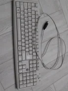 ����������. ����