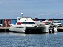 Delcat Catamarans. 2021 ���, ����� 13,1��., ��������� ������������, 478��.�. ����