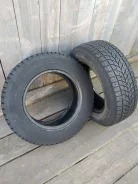 Bridgestone Winter Radial WT-17. ������, ��� �����, �/�, ����� 40 %. �������� ������� ����