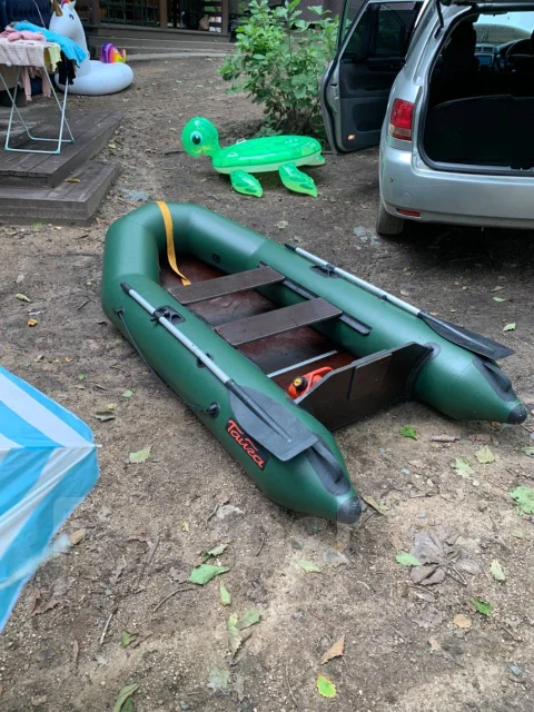 ����� ����� �-270. 2020 ���, ��������� ���������, ������ ����