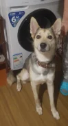 �����. ����