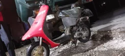 Honda Pal. 49����. ��., ��������, ��� ���, ������ �� �� ����