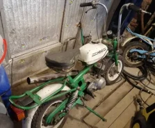 ���� 26. 50����. ��., ����������, ��� ���, ������ �� �� ����