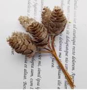 ����� "����� ����������" ��� �������, ������ � ����������, �� 3� ���� ����