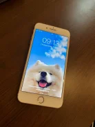 Apple iPhone 7 Plus. �/�, 128 ��, �������, 4G LTE ����